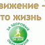 ... - Первомайская ЦРБ